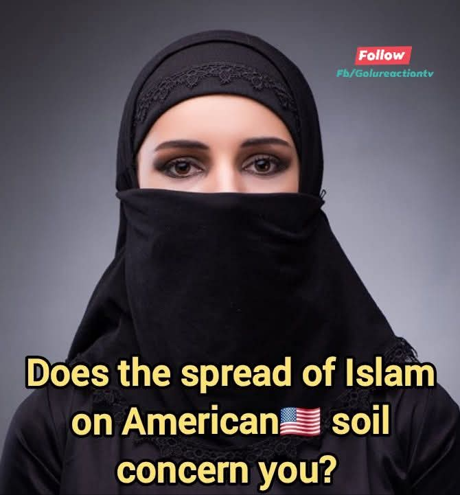 Anti Woke Memes tweet media