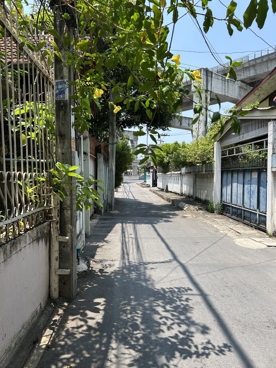 餅 tweet media