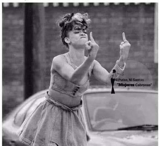 Lisha 2.0 tweet media