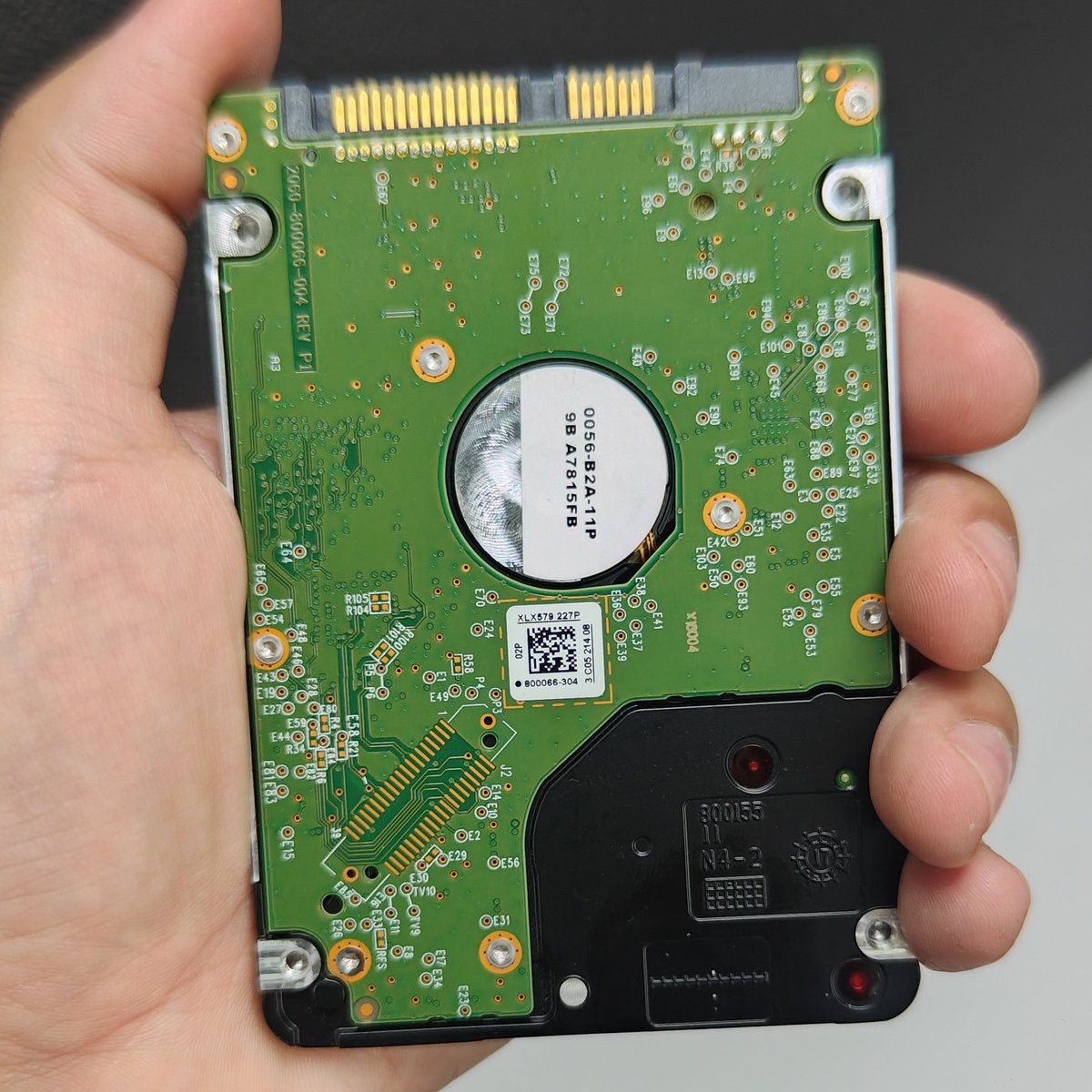 Atraxitator tweet media