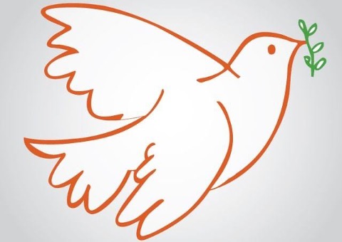 AmerindiaContinental tweet media