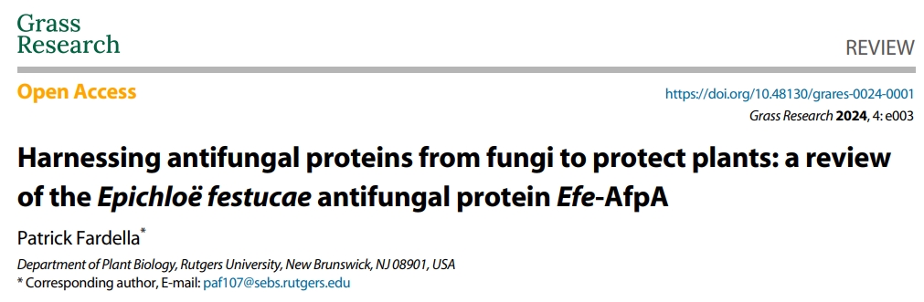 GrassResearch's tweet image. #GrassResearch #Endophytes #Biocontrol
Efe-AfpA from Epichloë festucae suppresses Clarireedia jacksonii in turfgrass.  🍄
@MaximumAcademic 
Details: maxapress.com/article/doi/10…