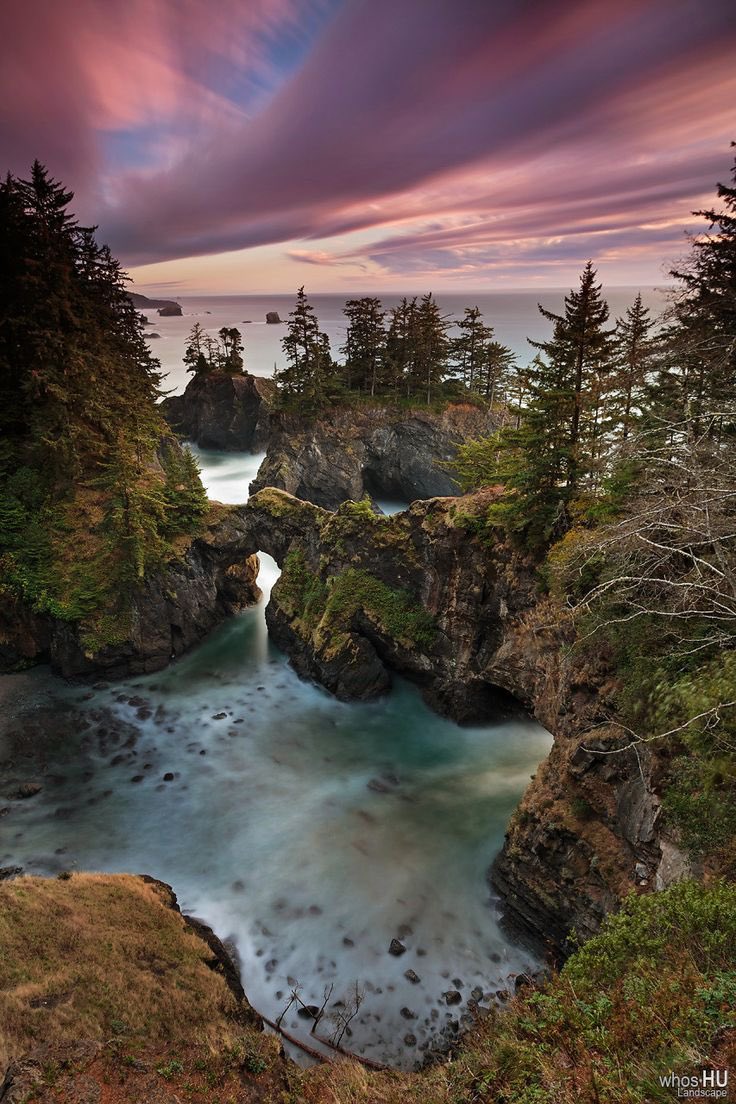 Sloth_brooks72's tweet photo. If I could move anywhere, it would be Oregon. I’m unsure where abouts, but all these pictures and videos I’ve seen are so damn gorgeous. https://t.co/WoFtePQV0g