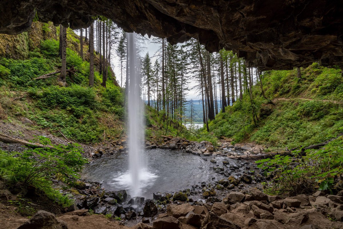 Sloth_brooks72's tweet photo. If I could move anywhere, it would be Oregon. I’m unsure where abouts, but all these pictures and videos I’ve seen are so damn gorgeous. https://t.co/WoFtePQV0g