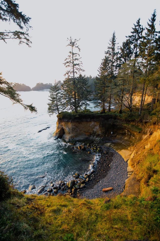 Sloth_brooks72's tweet photo. If I could move anywhere, it would be Oregon. I’m unsure where abouts, but all these pictures and videos I’ve seen are so damn gorgeous. https://t.co/WoFtePQV0g