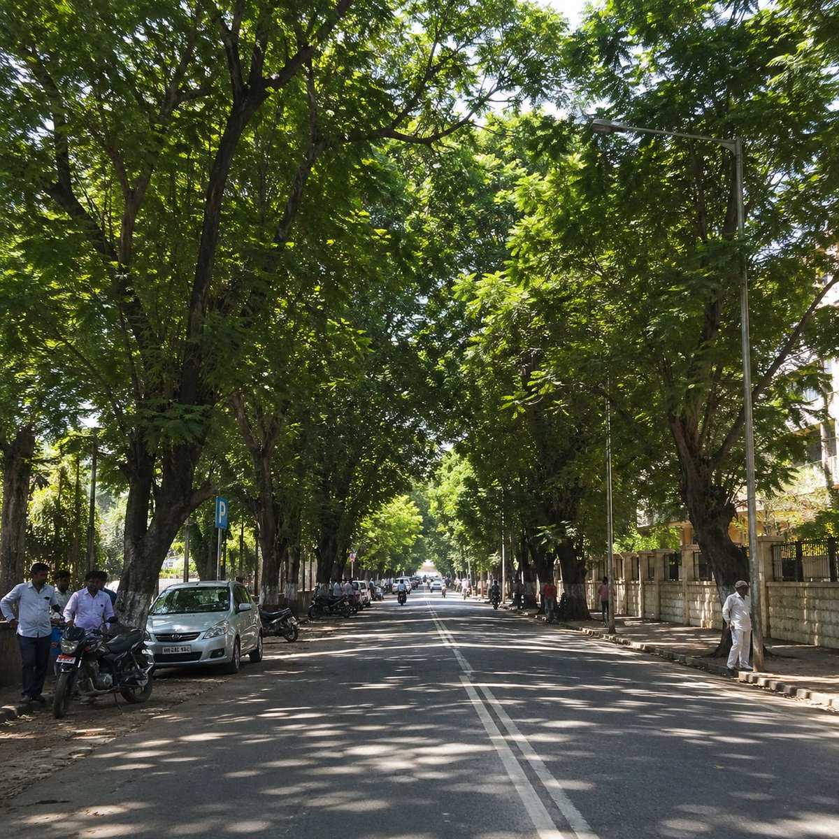 monideepaghosh9's tweet image. Plant Today. Breathe Tomorrow. 🌱

We need more trees—not just for today, but for every day of the year. 

Planting trees means cleaner air, cooler cities, and a healthier planet. 

Let’s grow green, save life, and protect Earth for generations to come. 🌍

#savelife #saveearth