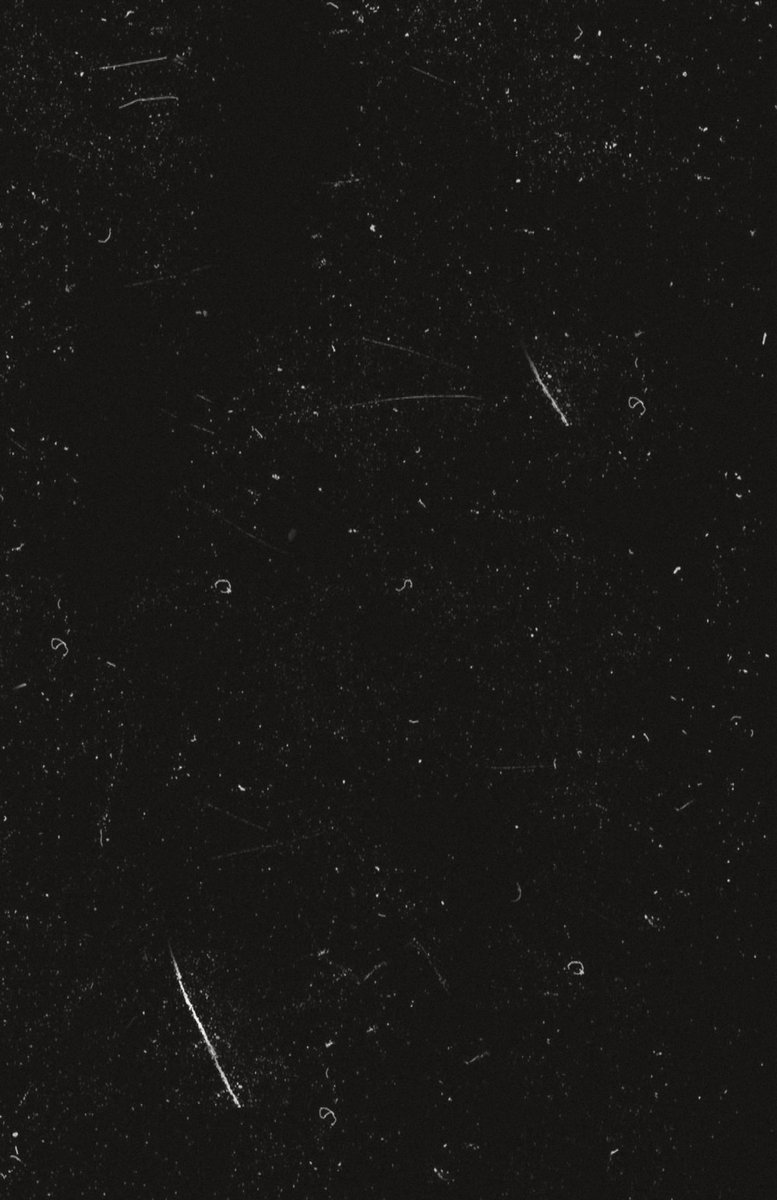 ᅠᅠᅠᅠᅠᅠᅠ⋆‧°𓏲ּ𝄢𝓈𝒾𝓁𝑒𝓃𝓉 𝒻𝑜𝑜𝓁 tweet media