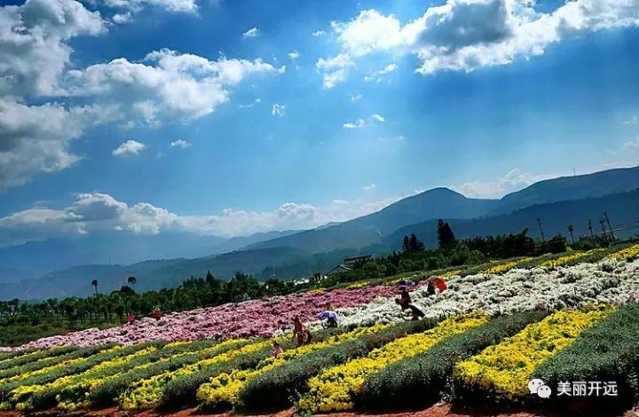 Wilian08980246's tweet image. "Neighborly win!  Spotted Mr. Lee helping Mrs. Chen carry her groceries—small acts, big warmth. Who’s your neighborhood hero today Share below! #NeighborLove #CommunitySpirit"