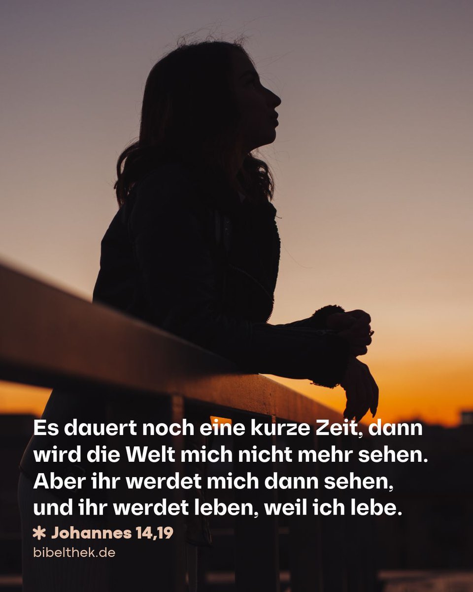 Bibel TV tweet media