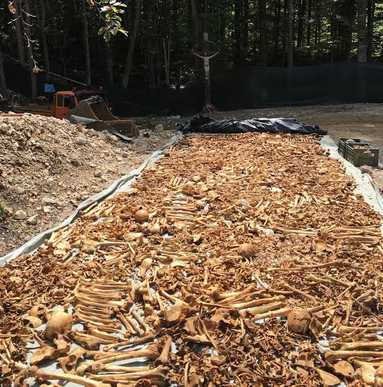 Samo Glavan tweet media