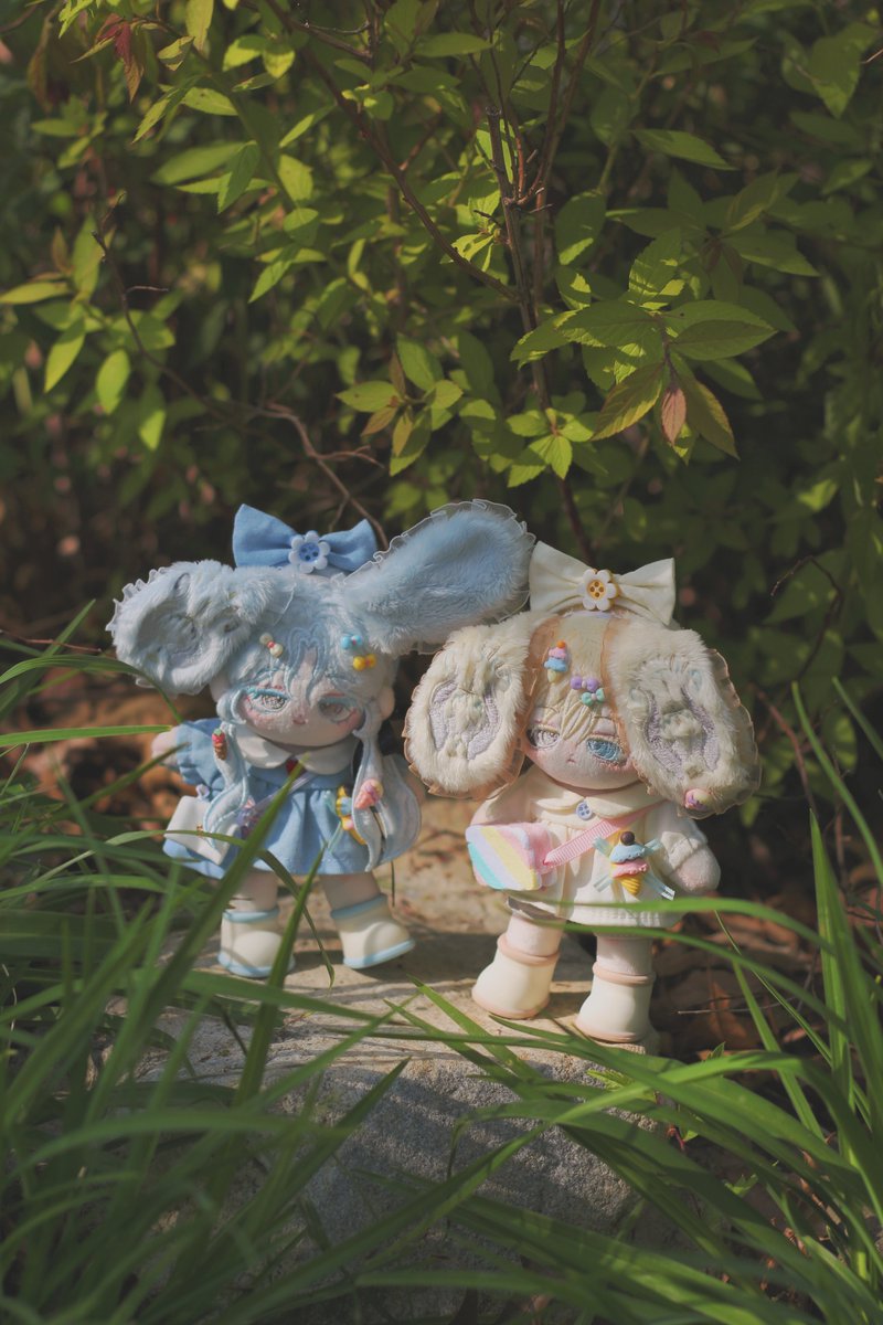 °+.*솜풀+.*° tweet media