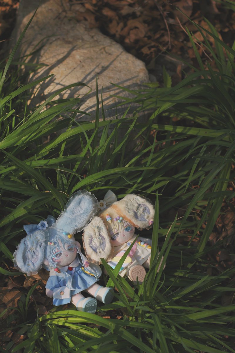 °+.*솜풀+.*° tweet media