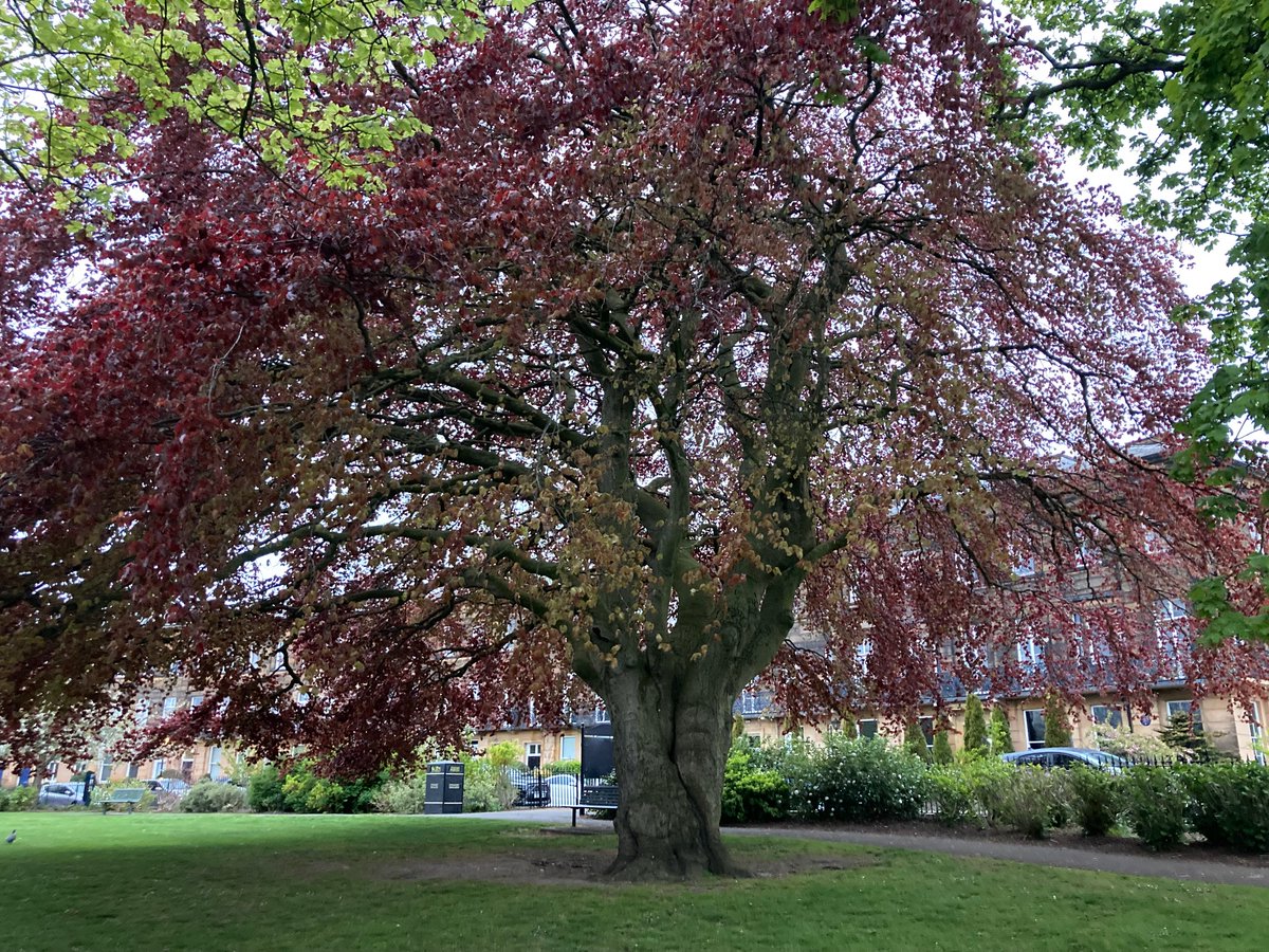FYoungWriter's tweet image. #Tuesday #Scarborough #sunrise 🌅 Cloudy, cool and breezy today during the early morning run 🌅 A large red sun disappeared behind the clouds 🌅 Still refreshing though 🌅 Have a great day, everybody 🌅