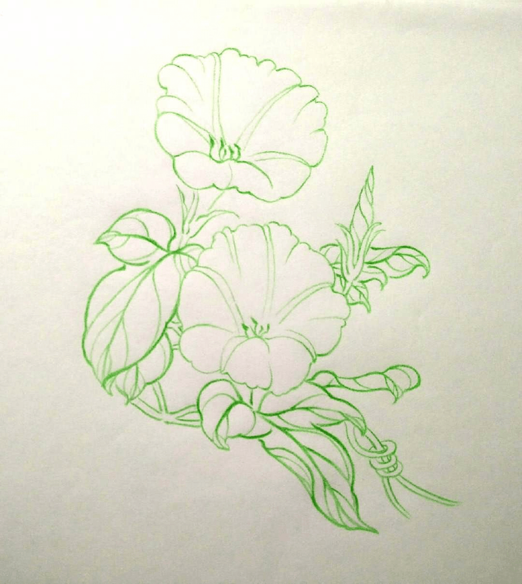 Solovey Alexandr tweet media