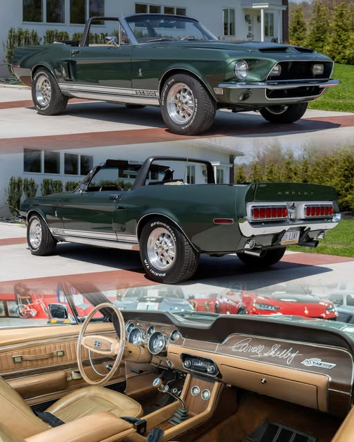 1968 Shelby Mustang GT500 Convertible

Is this the type you like?