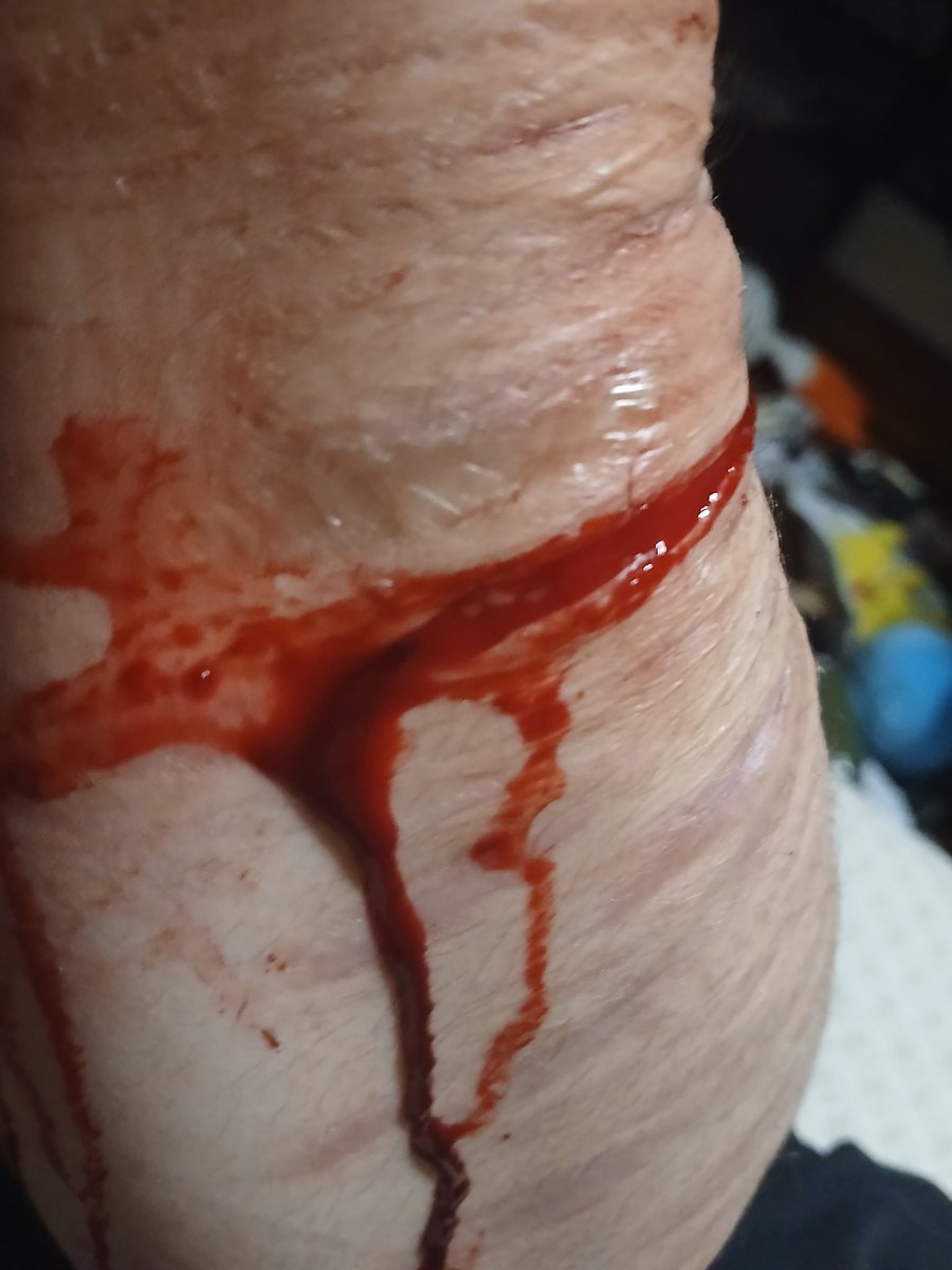 𐙚 ! Bear of shedtwt tweet media