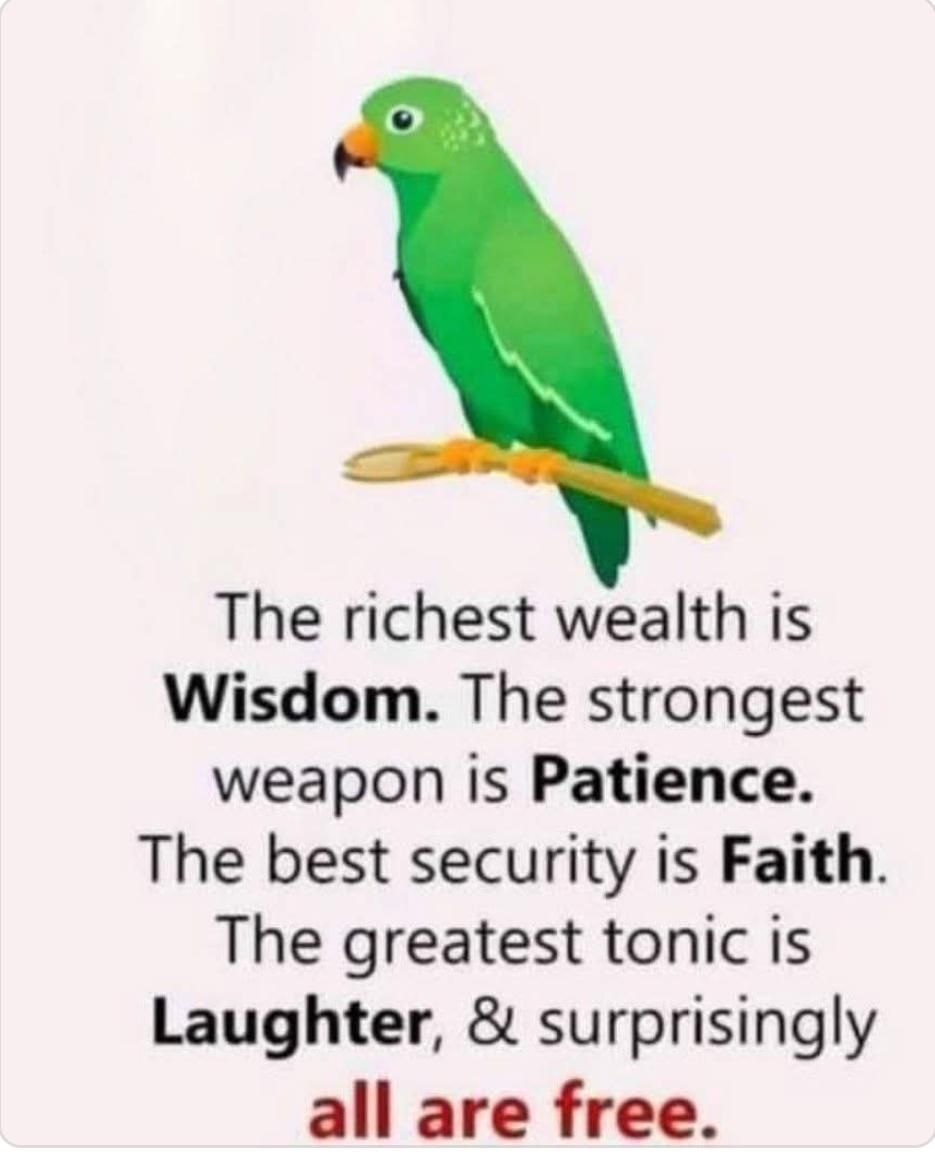 Kushal Uchil (@kushaluchil2) on Twitter photo 