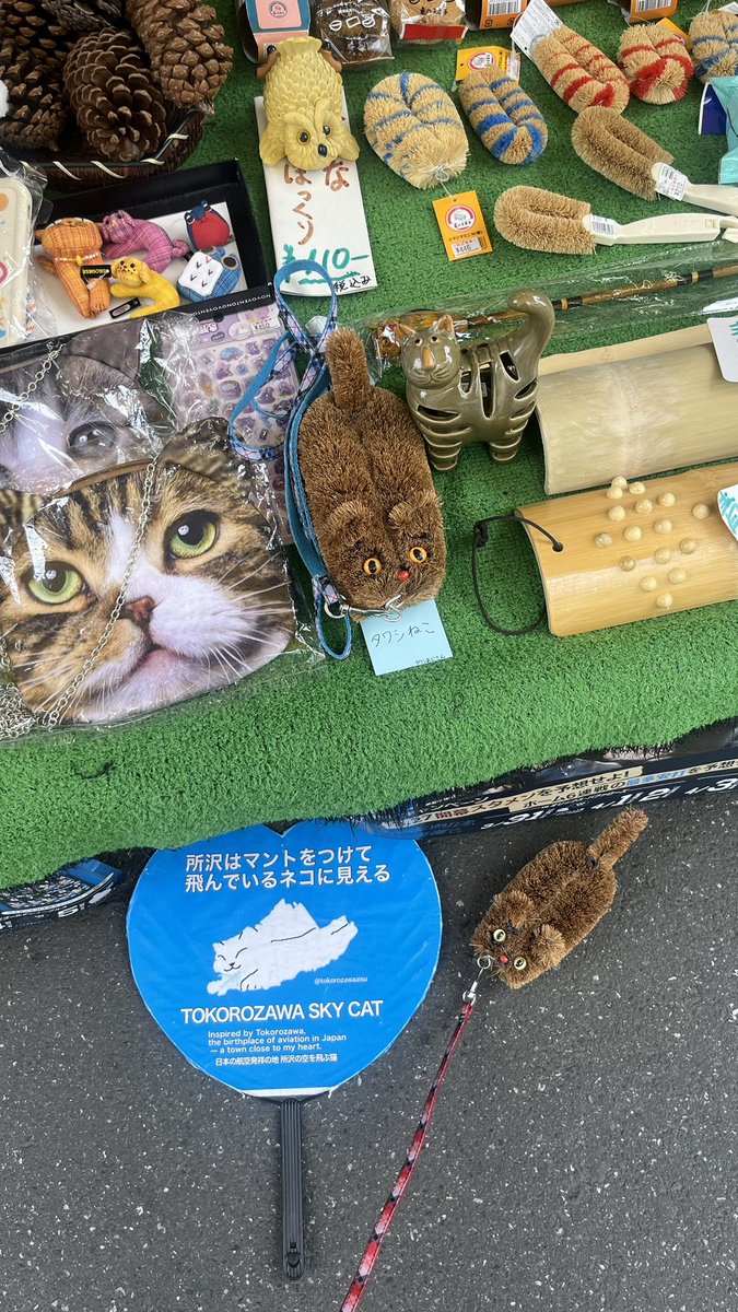 所沢ファルマン通り 岩田荒物店 (ストアーイワタ)に猫タワシを届けてき