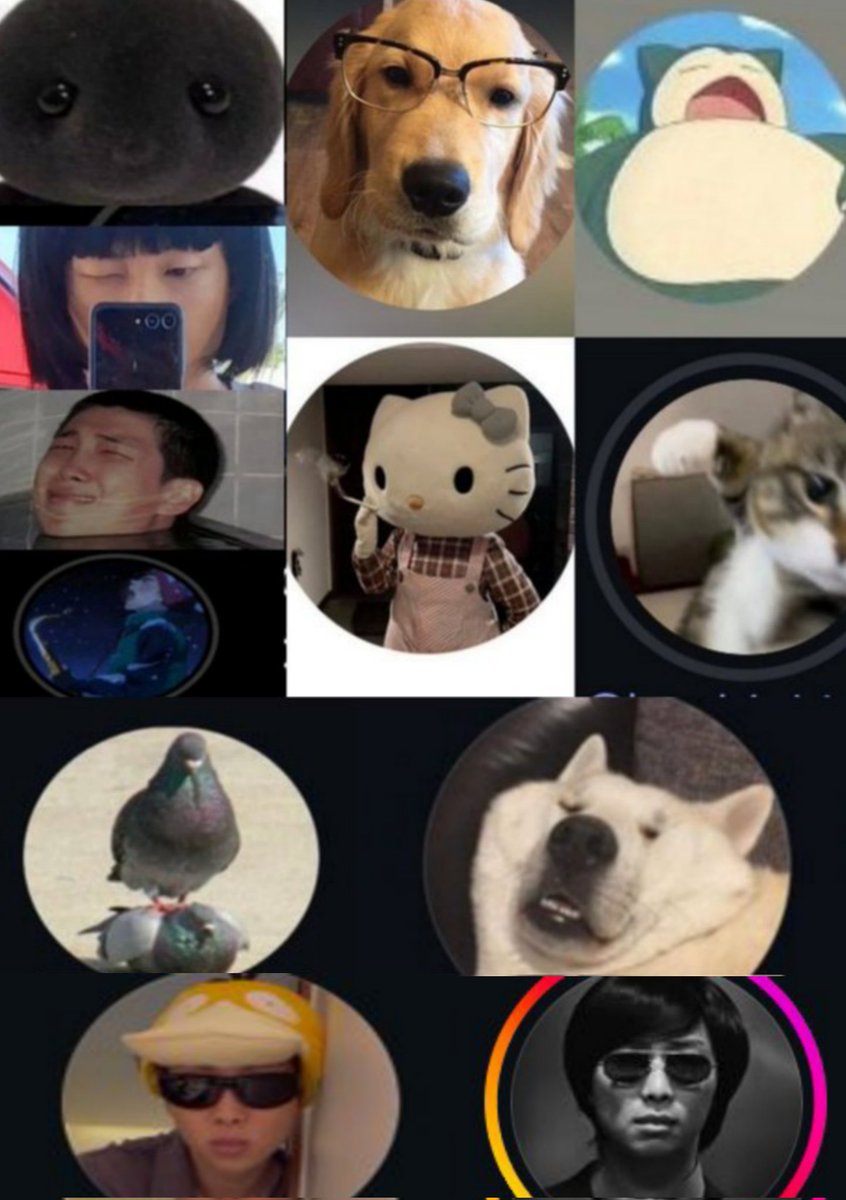 Carolyne🌱⁷⁼¹ tweet media