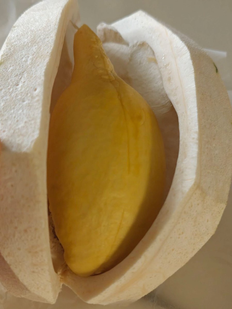 toonee😇 tweet media