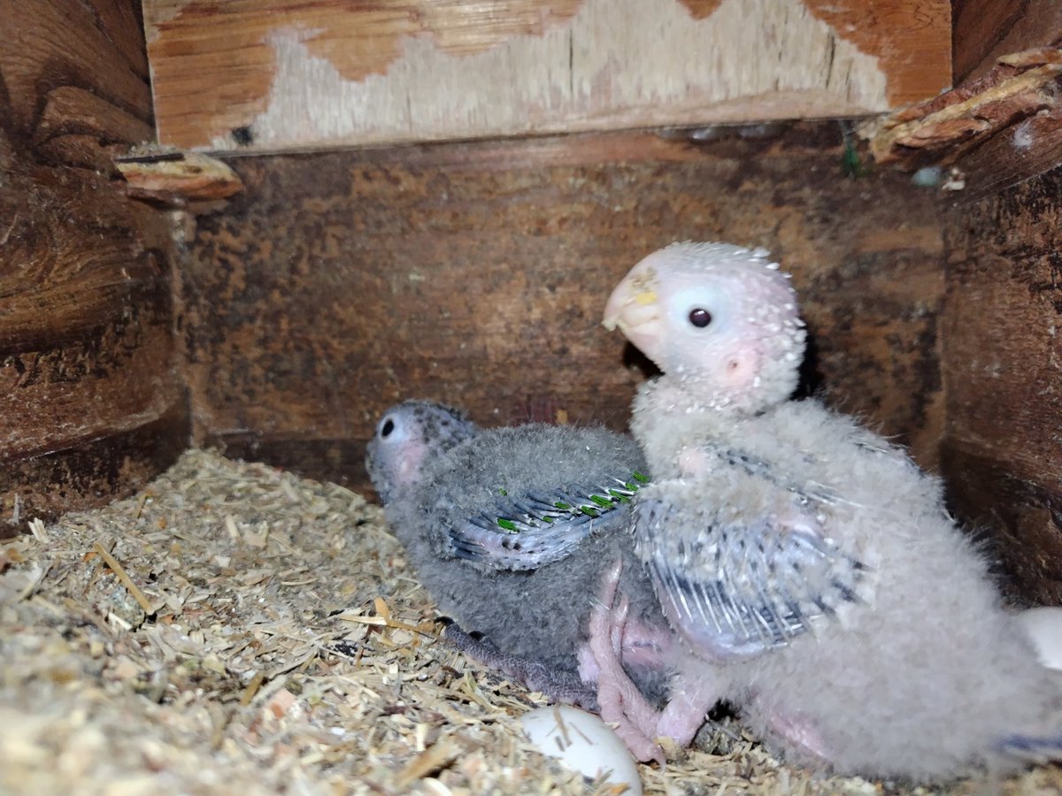 Ｊ・アシスト tweet media