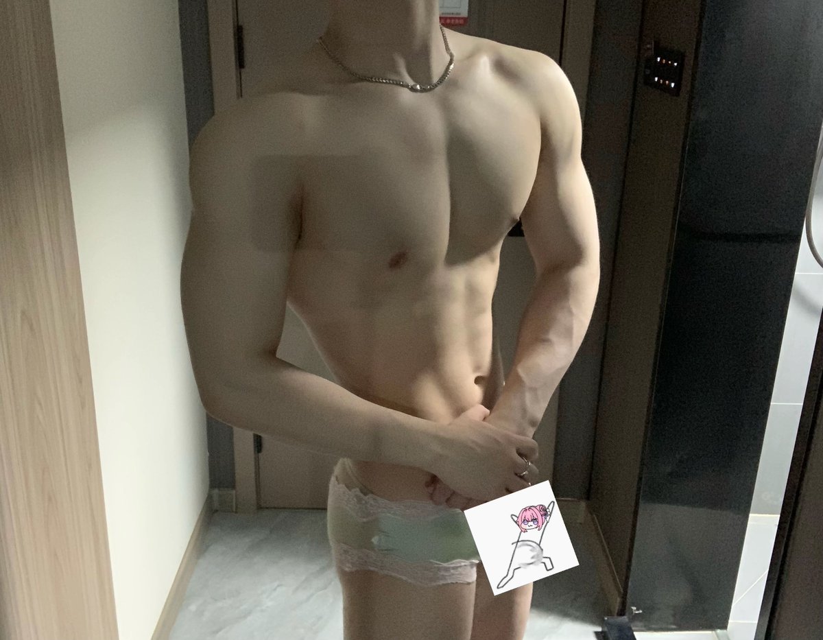 圆头小海豚 tweet media