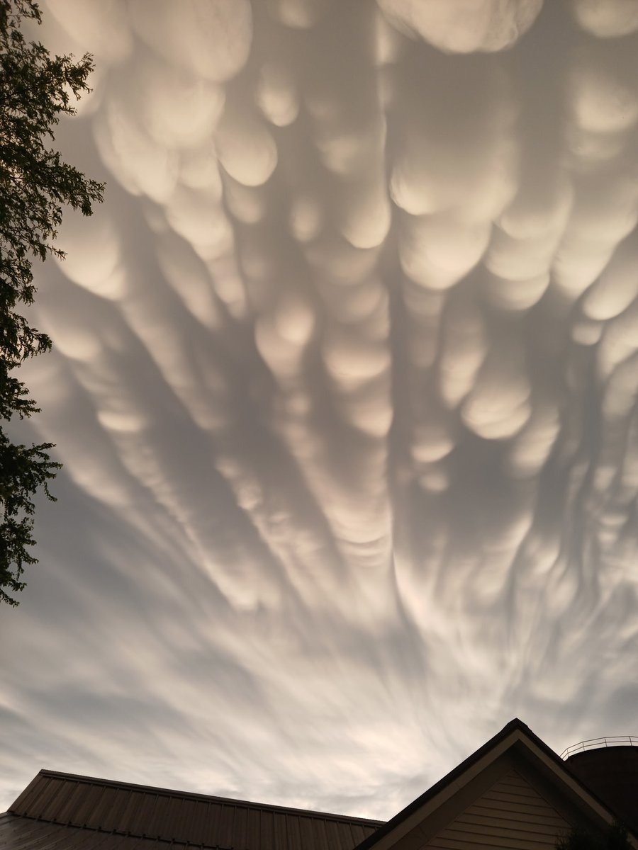 Gabby⛈️ tweet media