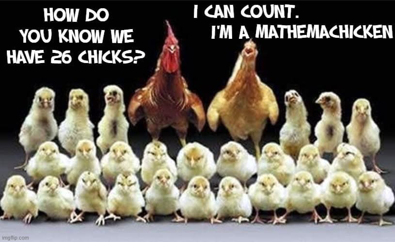 FarmJokester's tweet image. My kinda math 🐥 🐓 

#math #backyardchickens #meme #dadjokes #MichaelSalerno