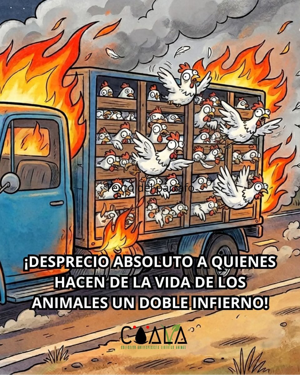 COALA - Colectivo Antiespecista Libertad Animal tweet media