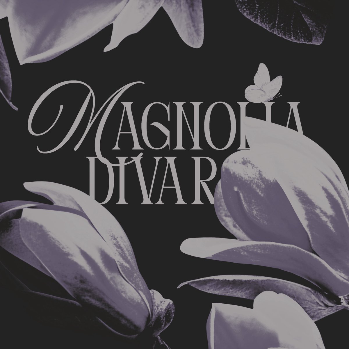 MAGNOLIA DIVARA. tweet media
