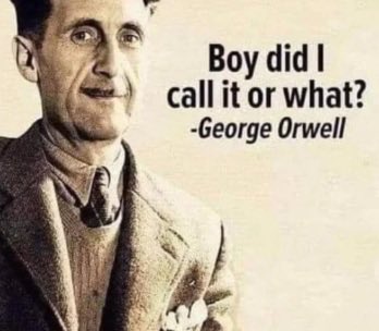 PatriotGenX tweet media