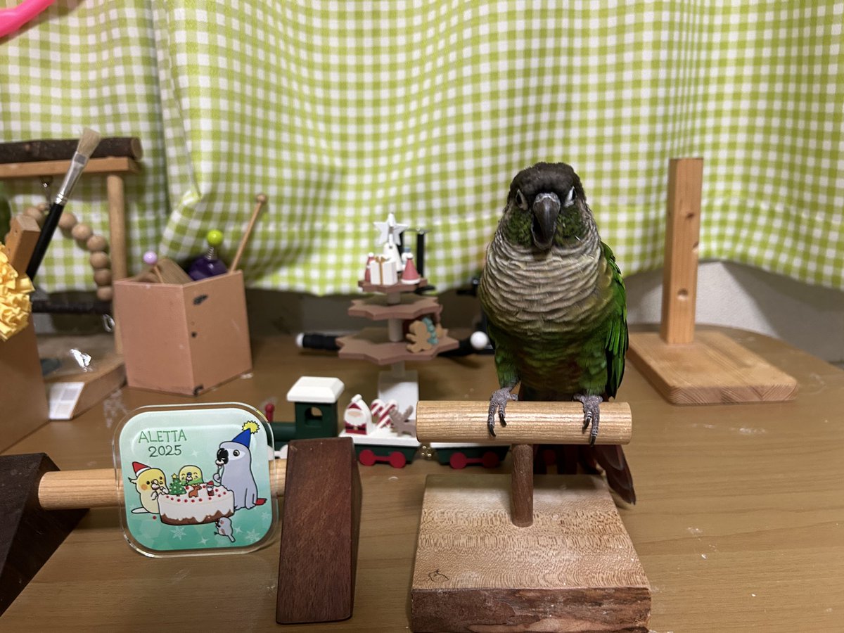apricot tweet media