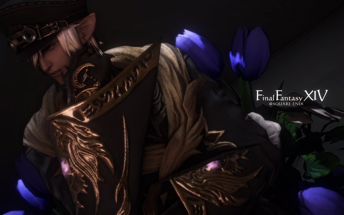 𝒀𝒗𝒐𝒏 tweet media