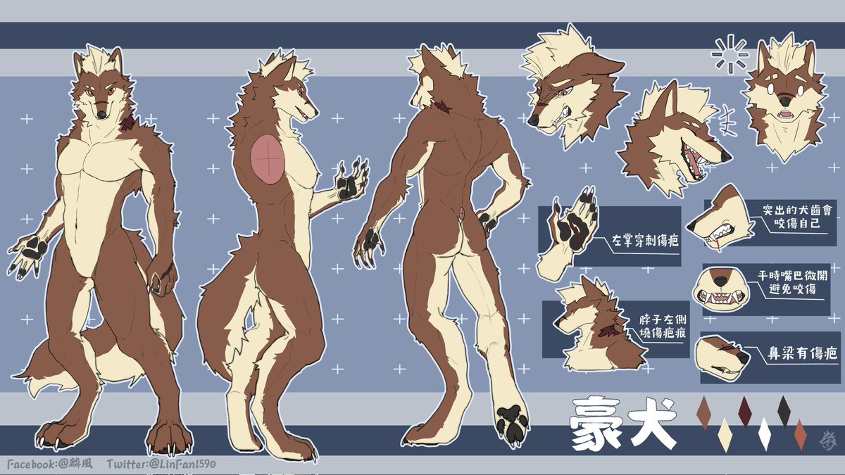 豪犬 tweet media