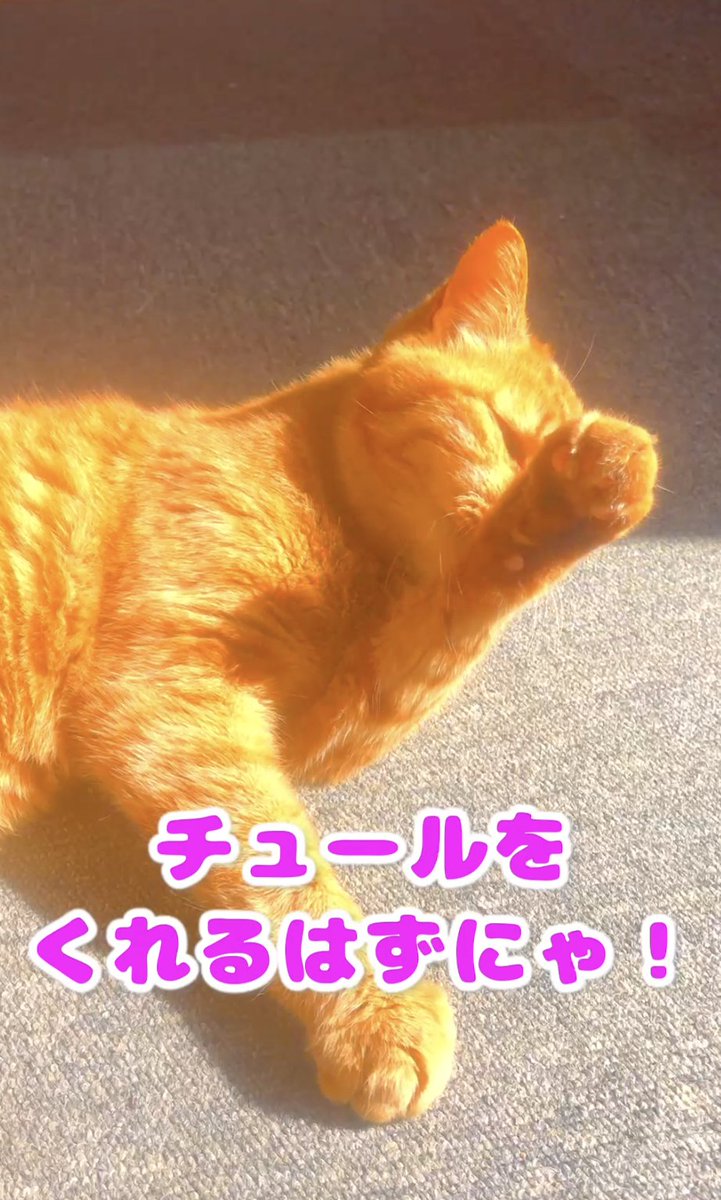 夏一（なついち） tweet media