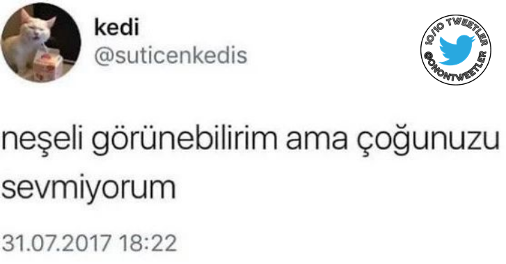 10/10 Tweetler tweet media