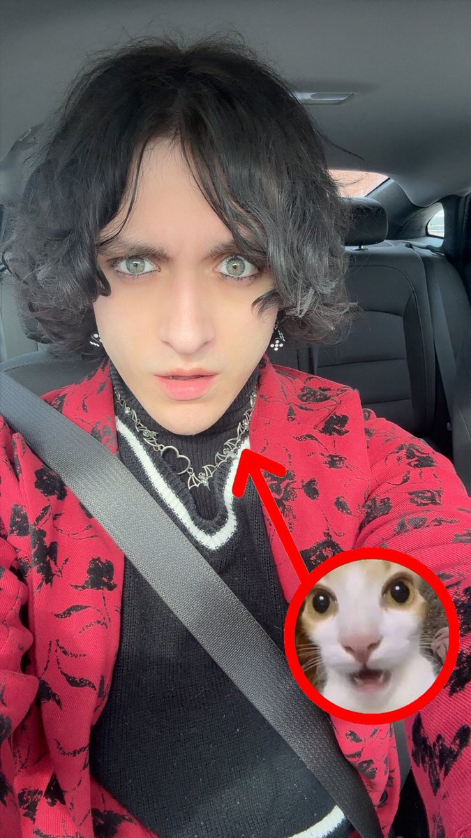 Bailey Bear🐝🏳️‍⚧️ tweet media