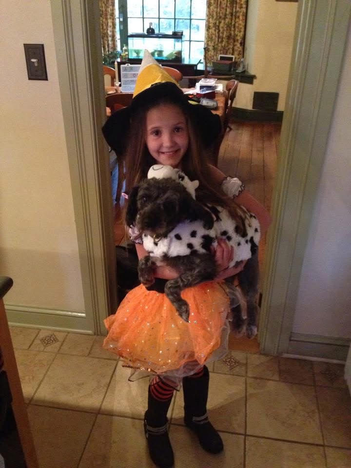 Kimberly Austin-Routhier tweet media