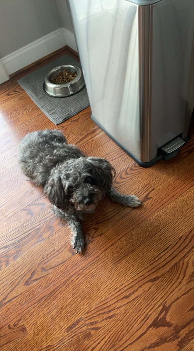 Kimberly Austin-Routhier tweet media