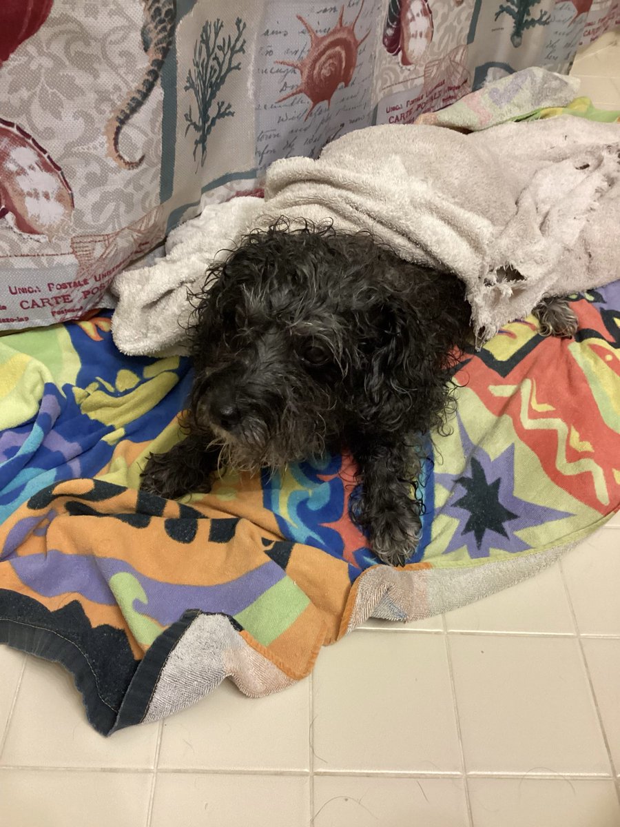 Kimberly Austin-Routhier tweet media