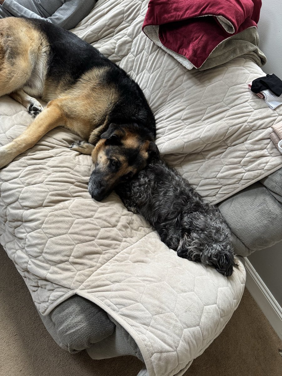 Kimberly Austin-Routhier tweet media