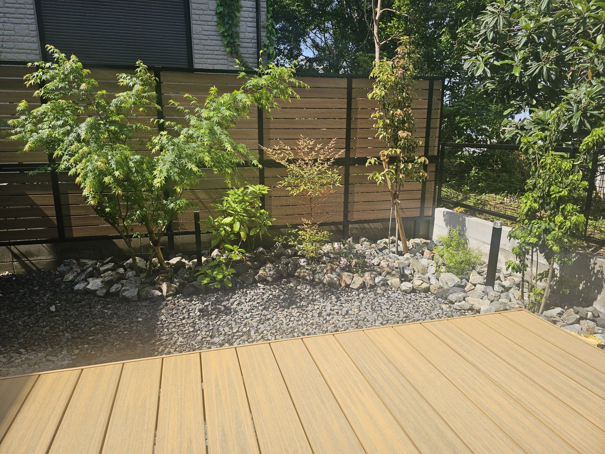 ケン🦫 👑🦬 🌹 ⭐ 🕺 tweet media