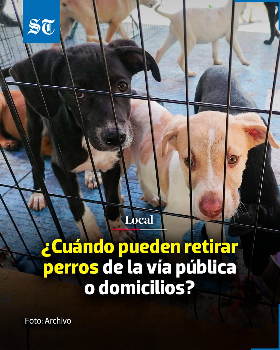 SoldeTlaxcala's tweet image. 🐾 Aunque muchas personas piensan que los #animales pueden ser recogidos de la calle o incluso de domicilios sin restricción, la realidad es distinta. En Tlaxcala, el levantamiento de #perros no está permitido de manera general.

⚠️ tinyurl.com/bder2w25