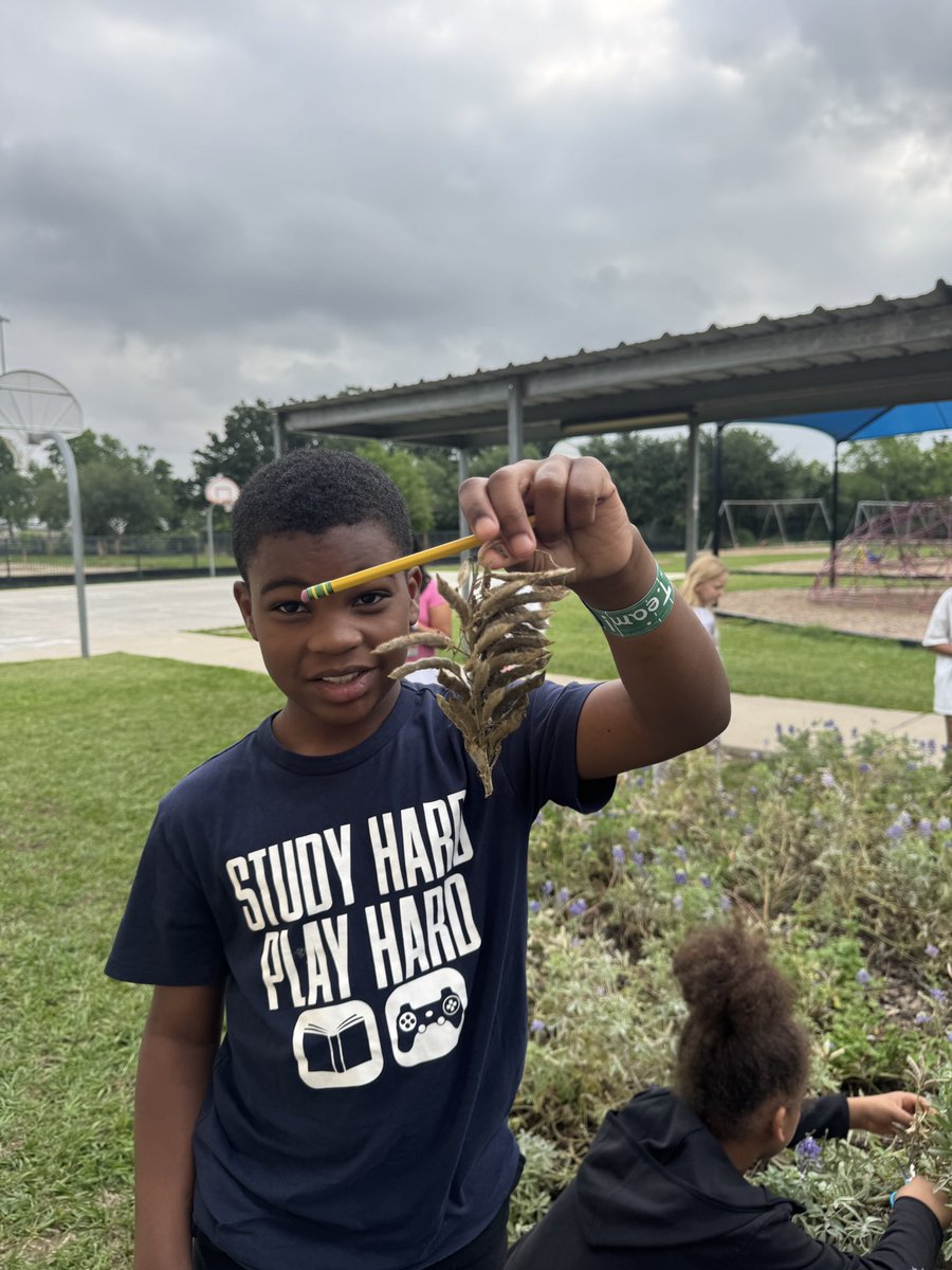 MsPaoliVegaRTGG's tweet photo. We had a blast collecting #bluebonnet seed pods! Plenty for next year’s planting 🪻🎉 @CFISDPost @post_pto @readygrowgarden @CyFairISD https://t.co/jM5kxOs78e