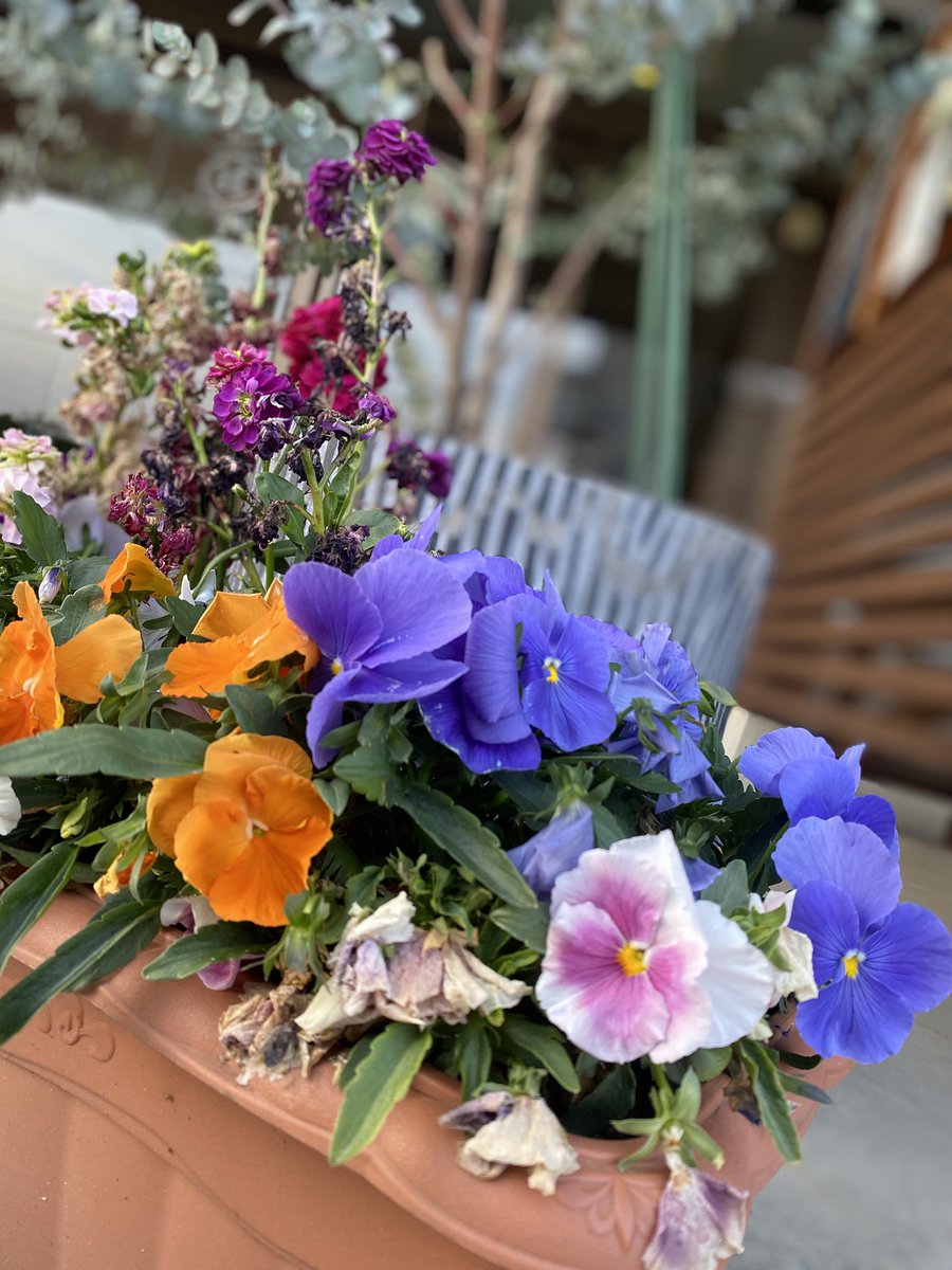 4月28日 火曜日
おはようございます☀

今日は風が気持ちの良い朝ですね！
通勤が清々しいです😄

限定「担々つけめん」ご用意しております！
芝麻醤の濃厚さと自家製ミンチの旨みを是非楽しんでください😋

本日もご来店お待ちしております！