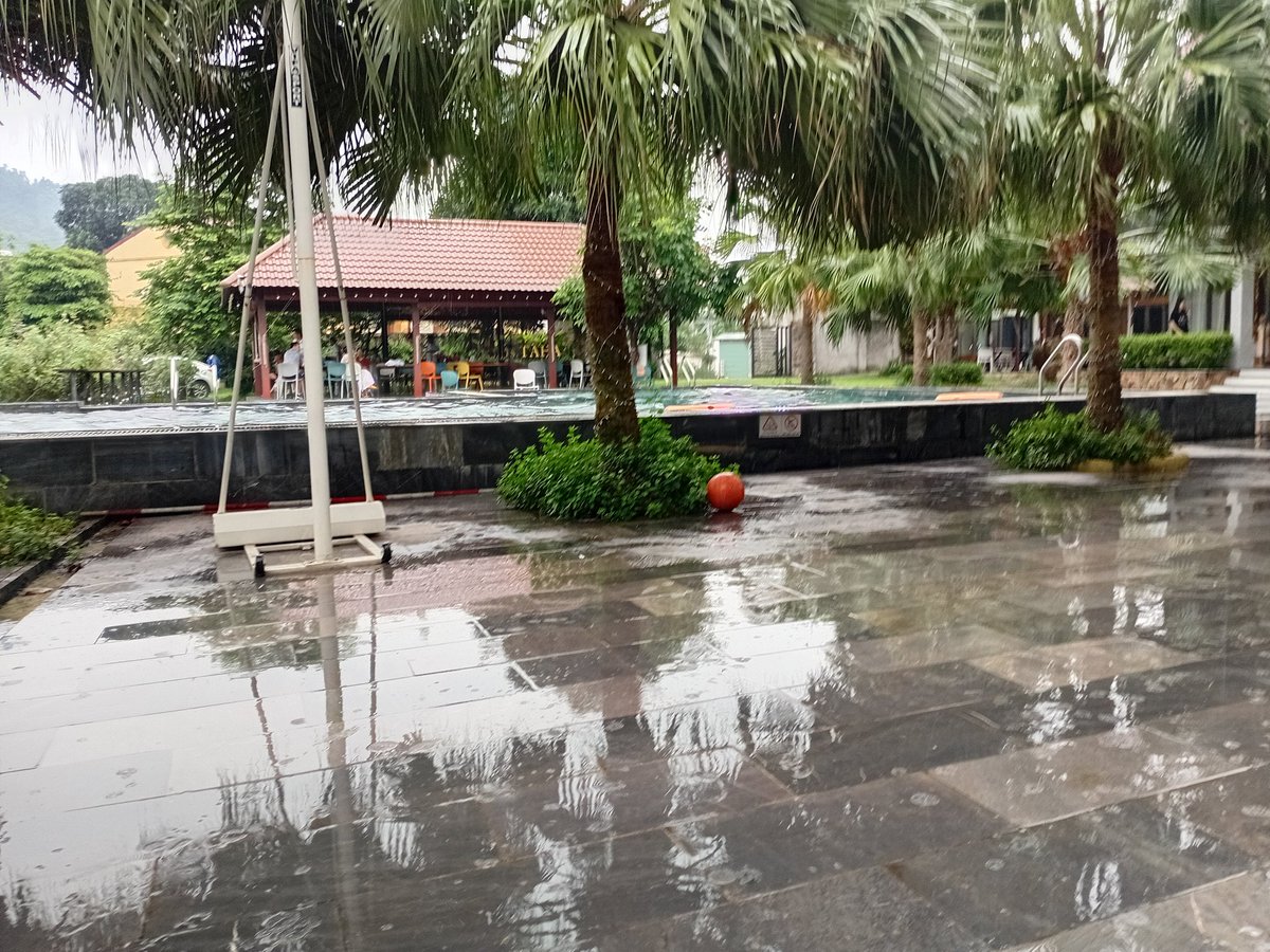 hungbeck89 tweet media