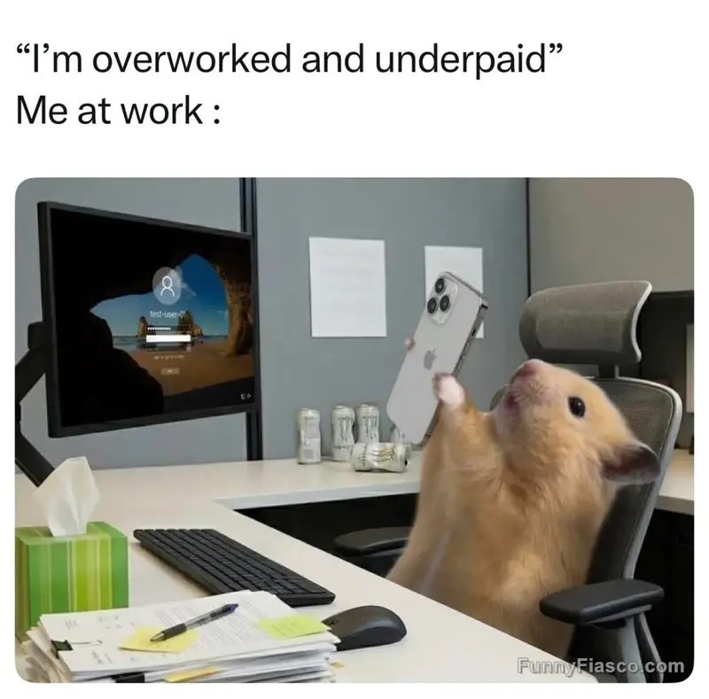 FunnyFiasco's tweet image. Why do they keep making me work? #worklife #memes #hamster #funny #relatable #officehumor