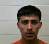 U.S. Immigration and Customs Enforcement tweet media