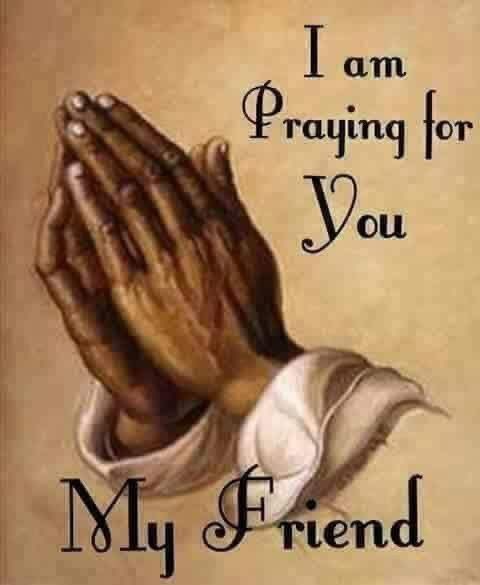 Tote1104's tweet photo. @brunelldonald https://t.co/QxBFCPvMde