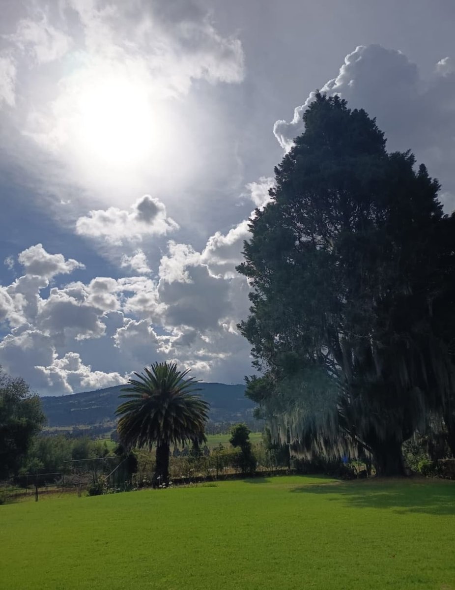 @Jemaco40 tweet media